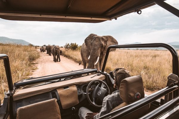African safari trips