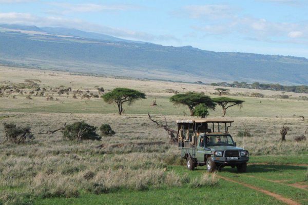 East Africa safari