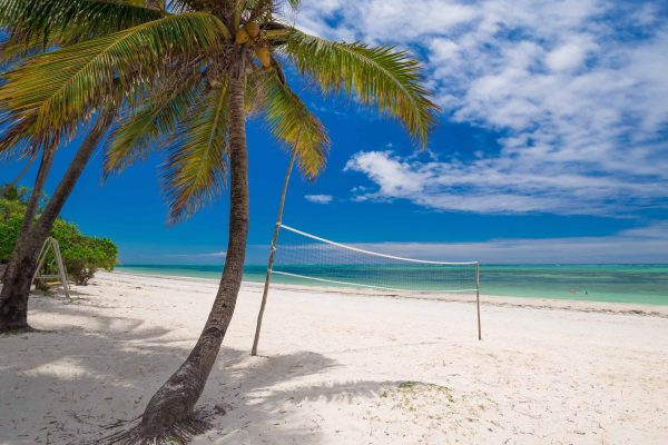 Amazing nature landscape. Tropical blue sea in island Zanzibar Tanzania. Luxury holiday resort. Beautiful travel vacation. Palms in beach paradise. Great panorama view. Inspiring summer.