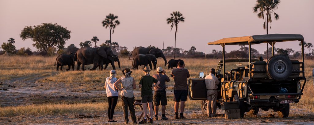 Best African safaris for families