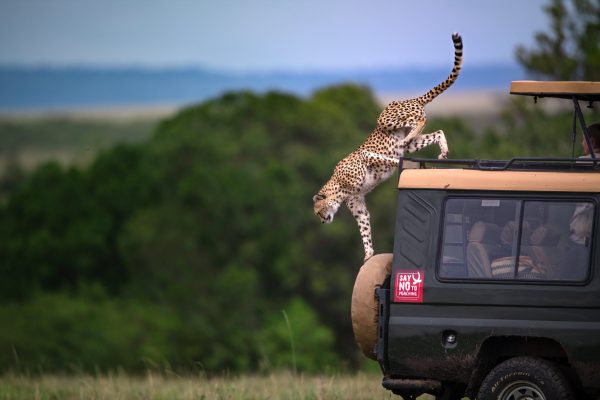 Masai Mara National Park. Kenya