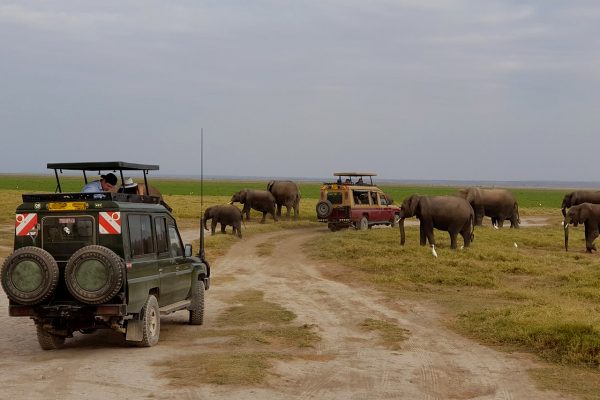 National Parks in Kenya