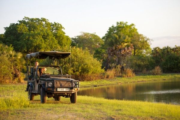 Nyerere National Park Private Safari