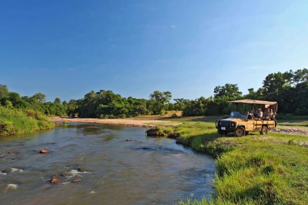 Nyerere National Park Safari