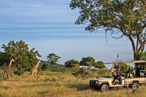 Safari to Nyerere National Park