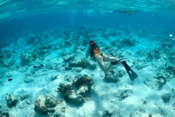 Snorkeling at Kendwa beach