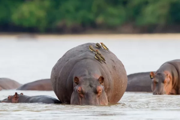 Southern Tanzania