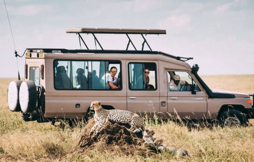 how to book a safari in Tanzania