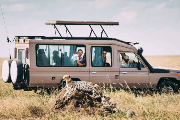 how to book a safari in Tanzania