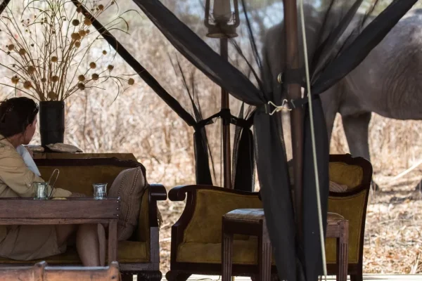 Katavi, Ruaha & Nyerere Safari Katavi, Ruaha & Nyerere Safari