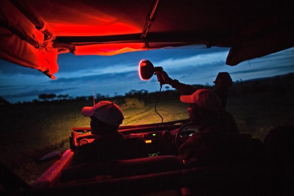 Night Game Drives In Masai Mara