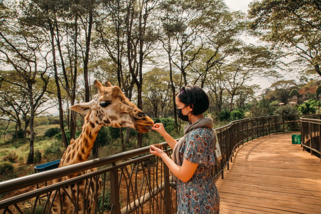 Things To Do In Nairobi Activities Attractions Updated 2024 things-to-do-in-nairobi-activities-attractions-updated-2024