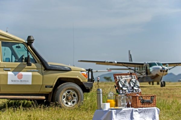 3 Days Fly-in Serengeti Safari