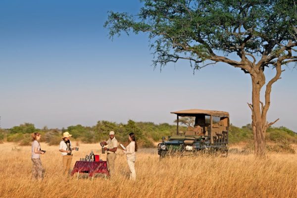 4 DAYS FLYING SERENGETI TOUR