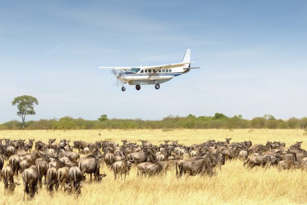 Serengeti flying safari