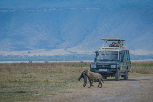 Ngorongoro Crater