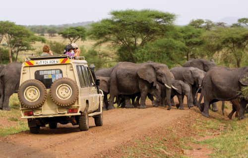 Tanzania Tours Packages