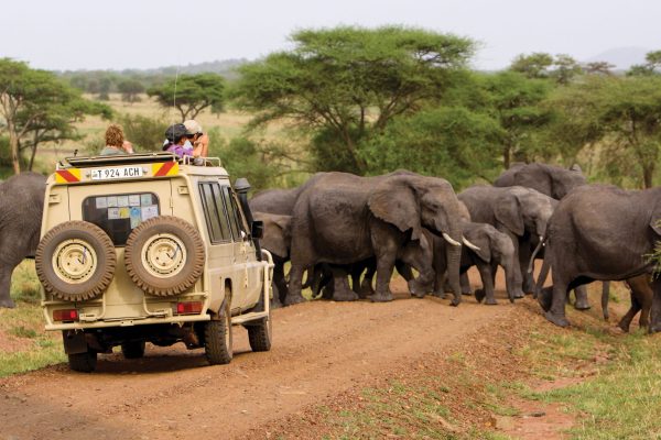 Tanzania Tours Packages