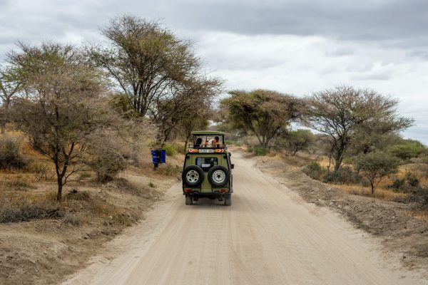 Tanzania Safari travel in style