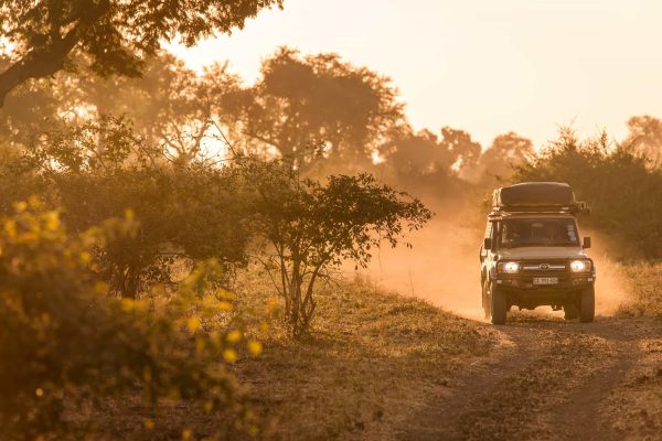African Self-drive safari