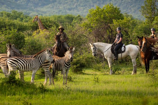 HORSE SAFARI IN SOUTH AFRICA