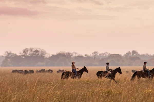 HORSE SAFARI IN ZAMBIA