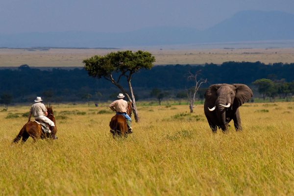 Kenya Horse Safaris