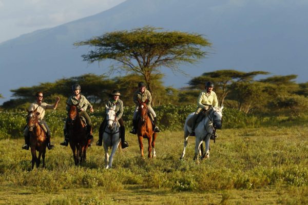 Serengeti Horse Safari