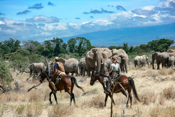 Tanzania Horse Safaris