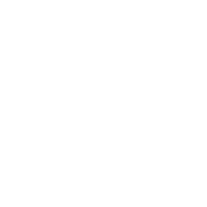 Travelers Choice