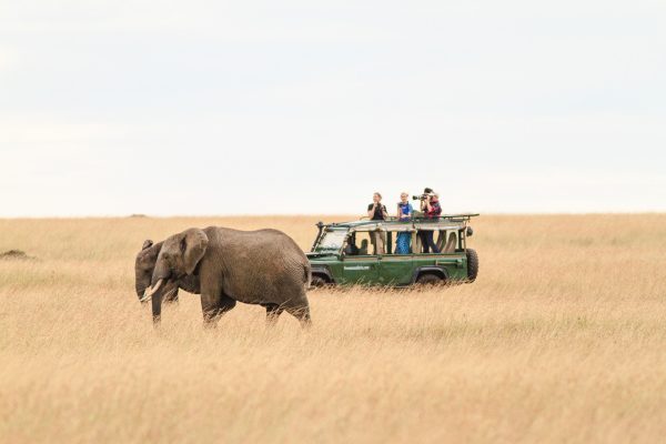 photographic safari in Kenya
