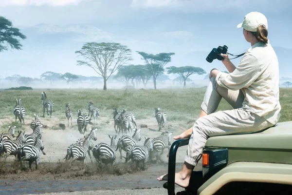 EAST VS SOUTHERN AFRICA SAFARI: WHICH IS BEST?