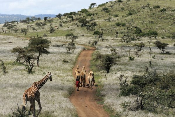 Laikipia