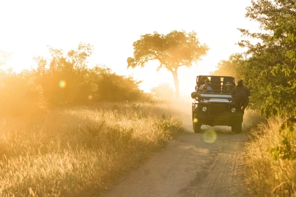 Getting to Kruger National Park