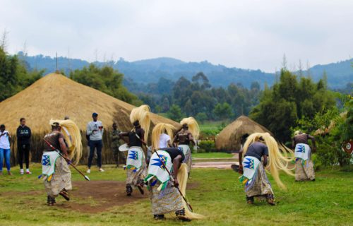 Gorilla Guardians Village