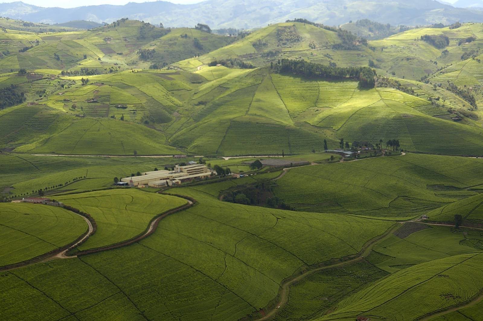 Ruand Rwanda The Land of a Thousand Hills & Why?