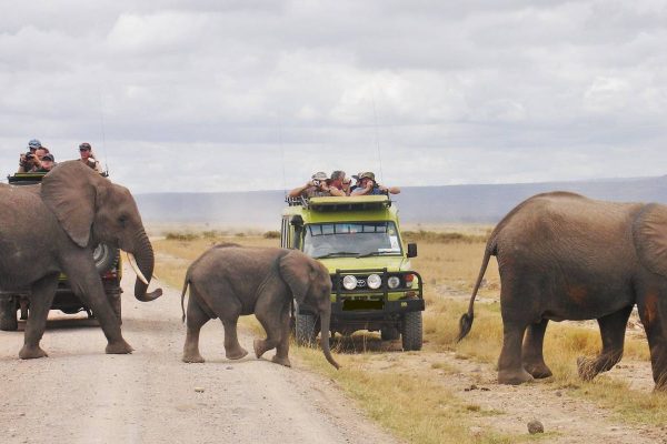 10 Days Kenya And Tanzania Safari