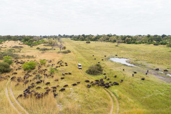 Botswana Zimbabwe And Namibia