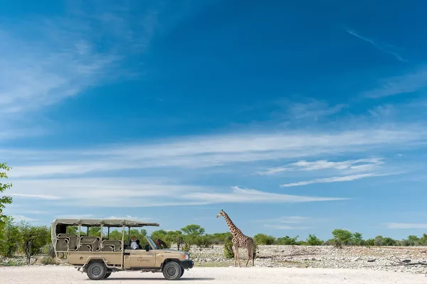 Etosha And Damaraland Self-Drive