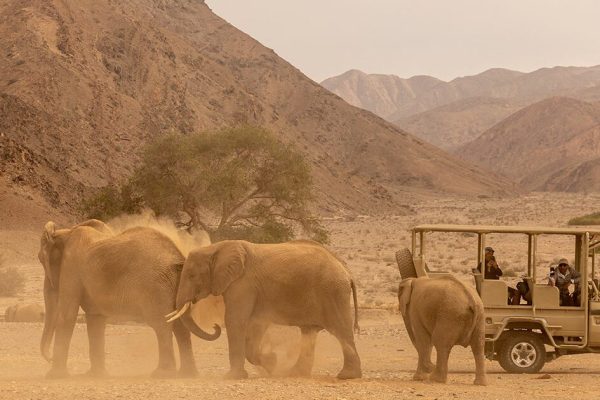 Journey Through Northern Namibia