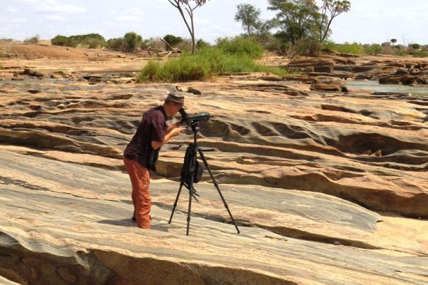 Kenya Coastal Birding Tour