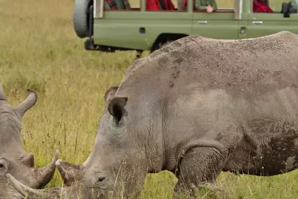 Ol Pejeta Conservancy