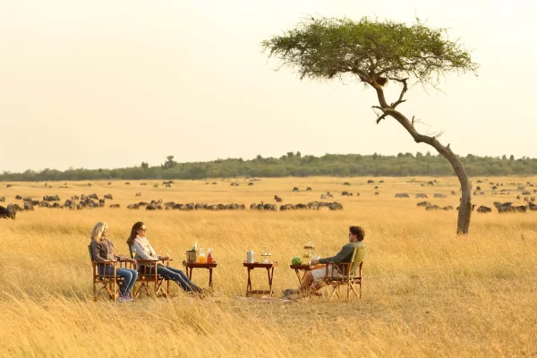 TANZANIA GUIDED GROUP SAFARI