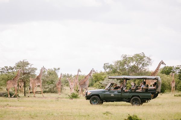 KENYA & TANZANIA SAFARIS
