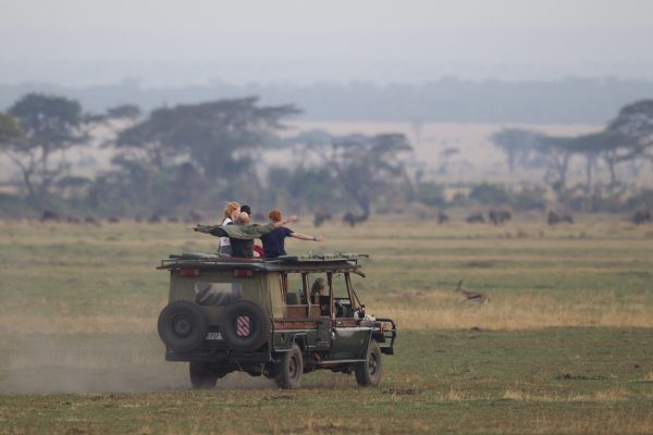 African Safari Experts