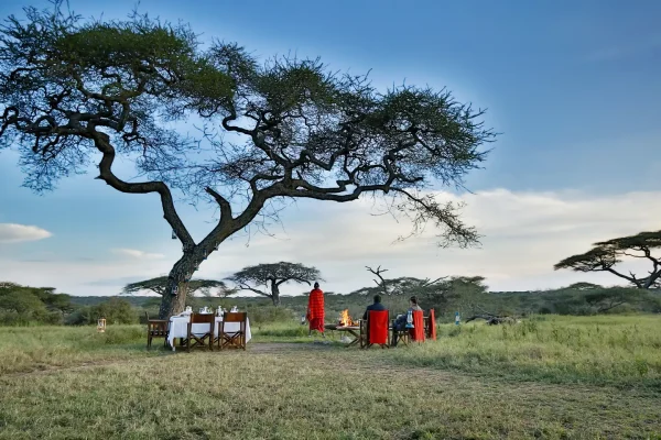 African safari vacation