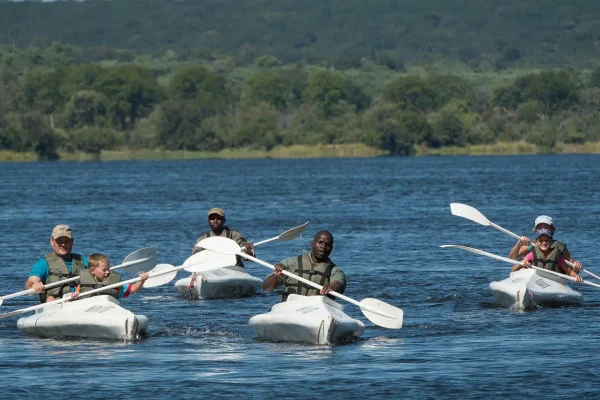 Private Small Group Safaris