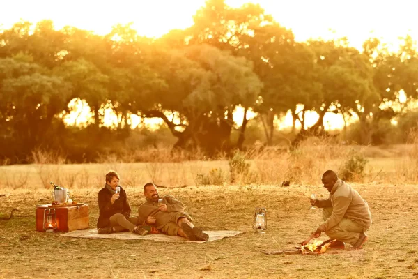 Safari Vacations for Couples