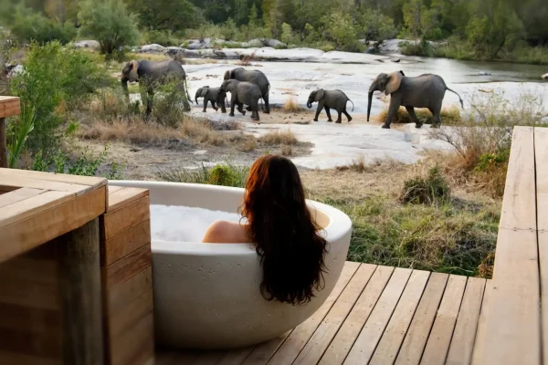 Vacations to South Africa