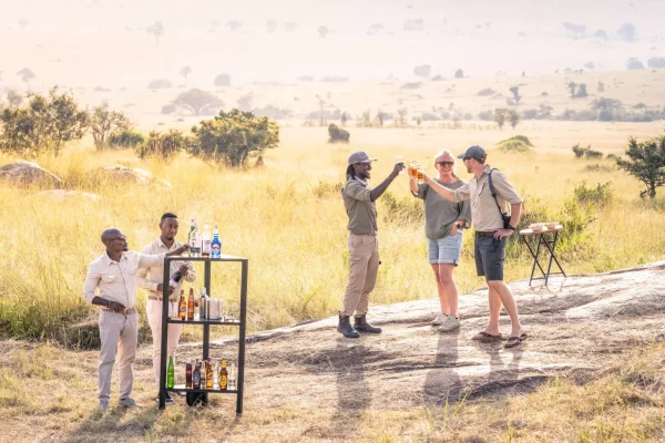Tanzania Luxury Safaris